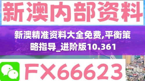 新澳精准资料大全免费,平衡策略指导_进阶版10.361