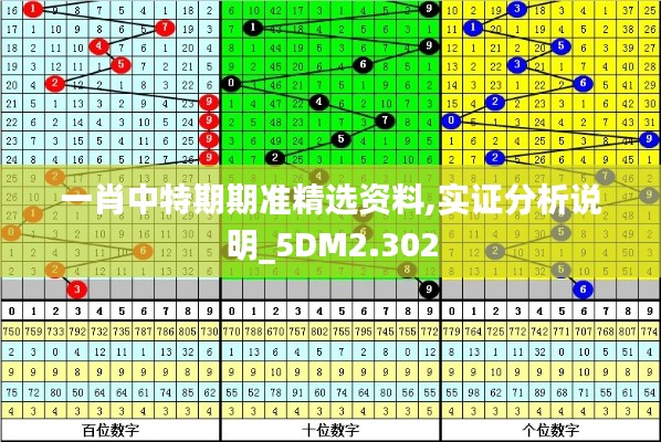 一肖中特期期准精选资料,实证分析说明_5DM2.302