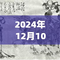 厦门之火，2024年12月10日城市火灾的实时记录与回忆