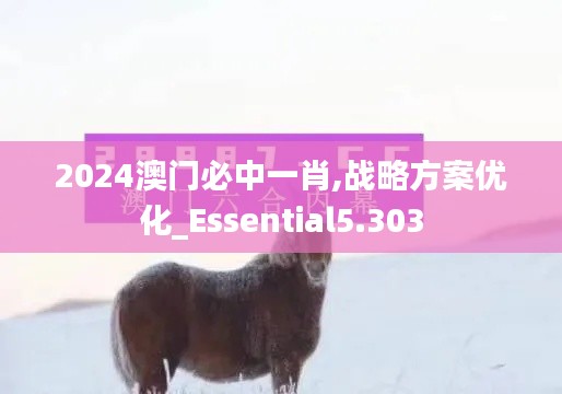 2024澳门必中一肖,战略方案优化_Essential5.303