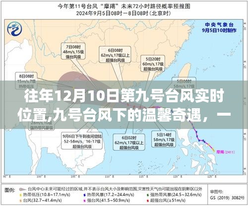 九号台风下的温馨奇遇与日常故事，一场与台风的共舞冒险之旅