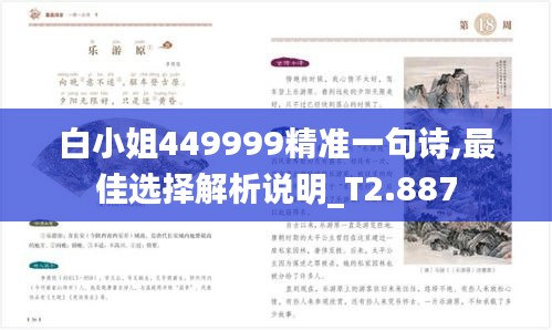 白小姐449999精准一句诗,最佳选择解析说明_T2.887