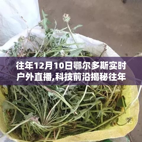 揭秘鄂尔多斯户外直播新纪元，科技前沿体验与未来直播新宠的独家展示