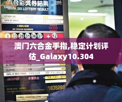 澳门六合金手指,稳定计划评估_Galaxy10.304