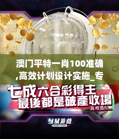 澳门平特一肖100准确,高效计划设计实施_专业款16.838