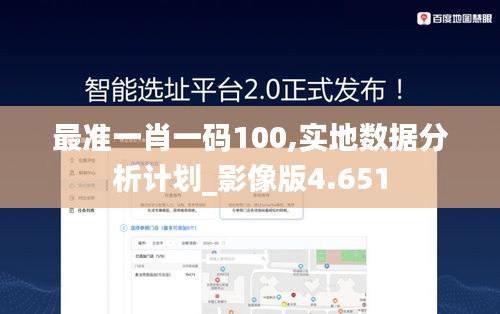 最准一肖一码100,实地数据分析计划_影像版4.651