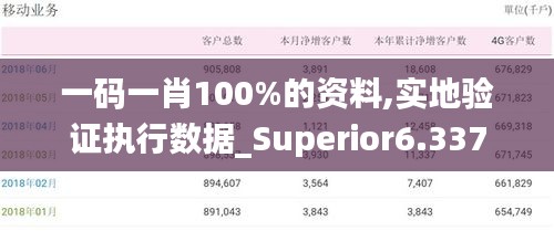 一码一肖100%的资料,实地验证执行数据_Superior6.337