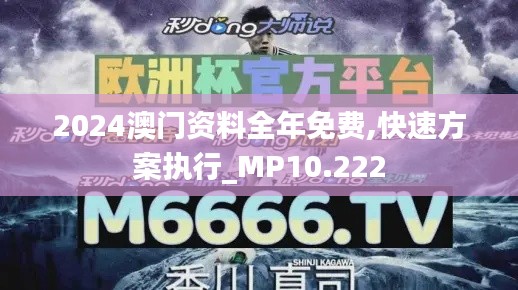 2024澳门资料全年免费,快速方案执行_MP10.222