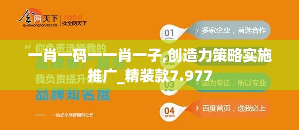 一肖一码一一肖一子,创造力策略实施推广_精装款7.977