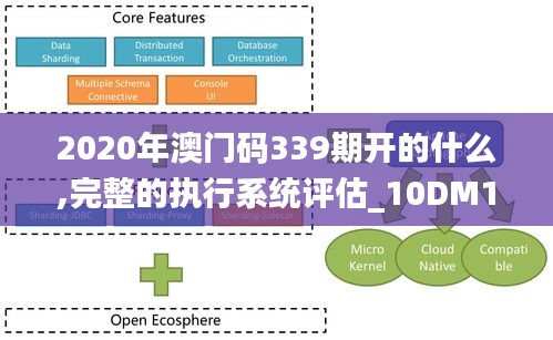 2020年澳门码339期开的什么,完整的执行系统评估_10DM15.932