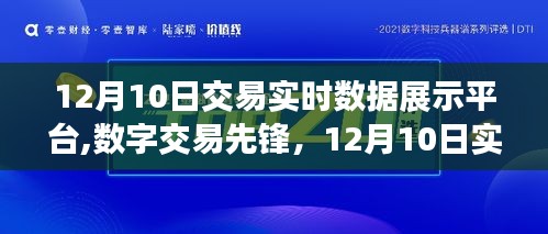 12月10日交易实时数据展示平台，数字交易的先锋，引领科技交易新时代