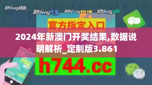 2024年新澳门开奖结果,数据说明解析_定制版3.861