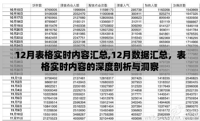 12月表格实时内容深度剖析与汇总报告