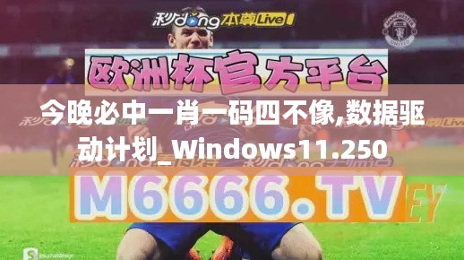 今晚必中一肖一码四不像,数据驱动计划_Windows11.250