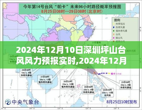 2024年12月10日深圳坪山台风风力预报实时分析与预测