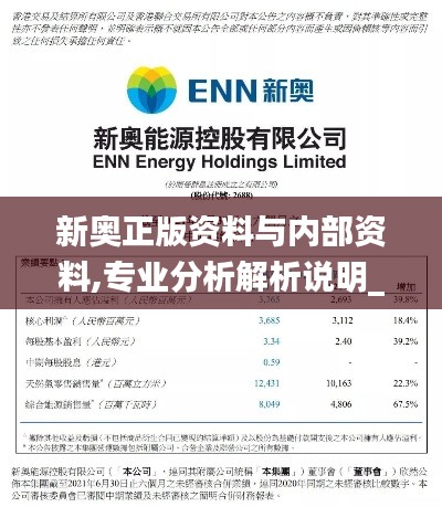 新奥正版资料与内部资料,专业分析解析说明_Pixel10.297