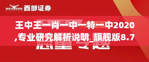 王中王一肖一中一特一中2020,专业研究解析说明_旗舰版8.720