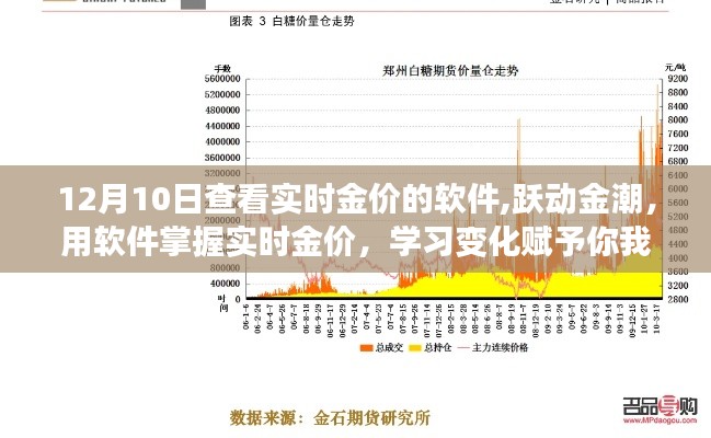 跃动金潮，实时金价软件助你掌握金价动态，自信与力量源于学习变化