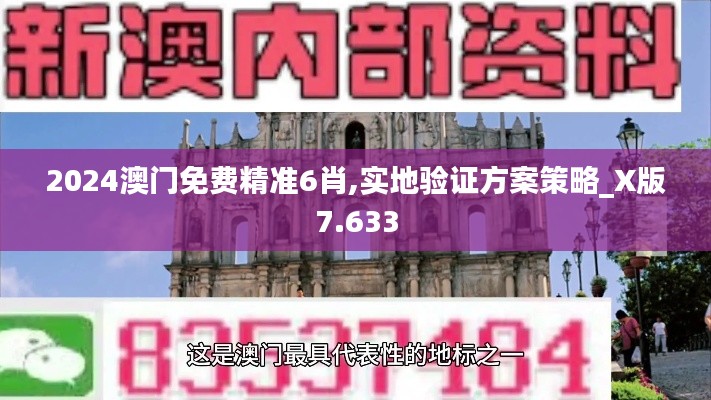 2024澳门免费精准6肖,实地验证方案策略_X版7.633