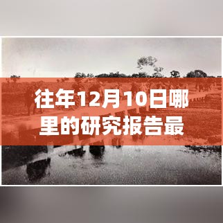 全球热点趋势深度解析，往年12月10日研究报告最新汇总与实时重磅推荐