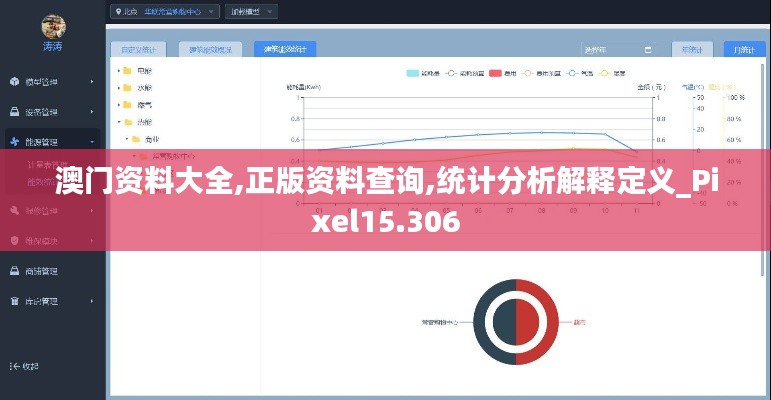 澳门资料大全,正版资料查询,统计分析解释定义_Pixel15.306