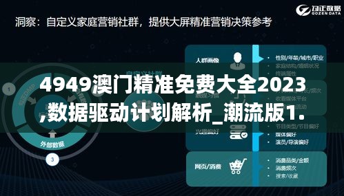 4949澳门精准免费大全2023,数据驱动计划解析_潮流版1.298