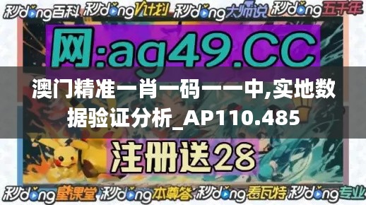 澳门精准一肖一码一一中,实地数据验证分析_AP110.485