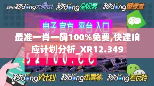 最准一肖一码100%免费,快速响应计划分析_XR12.349