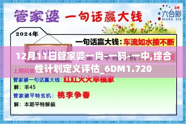 12月11日管家婆一肖-一码-一中,综合性计划定义评估_6DM1.720