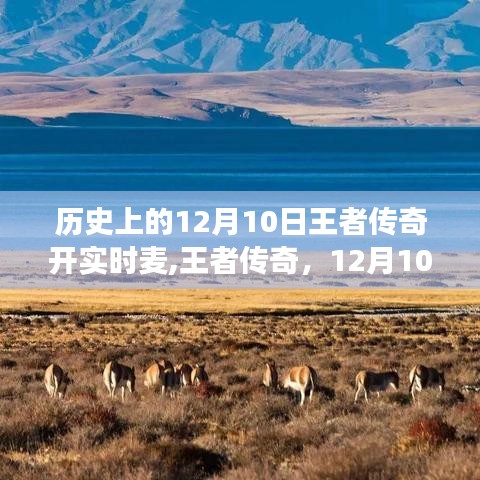 王者传奇，实时麦开启，探索心灵之旅的自然美景探索日——12月10日