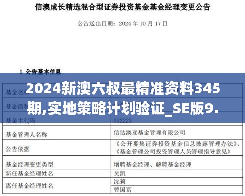 2024新澳六叔最精准资料345期,实地策略计划验证_SE版9.408