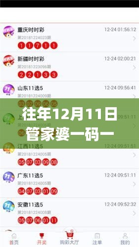 往年12月11日管家婆一码一肖100中奖,精确数据解析说明_进阶款9.655