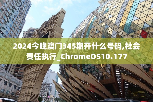 2024今晚澳门345期开什么号码,社会责任执行_ChromeOS10.177