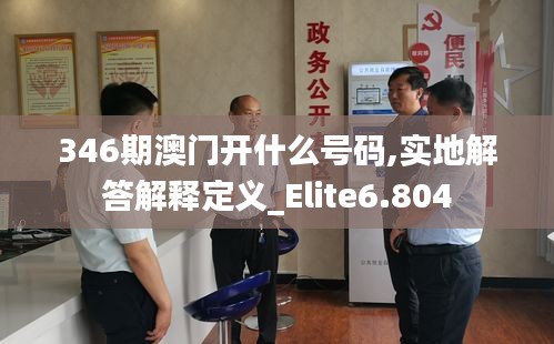 346期澳门开什么号码,实地解答解释定义_Elite6.804