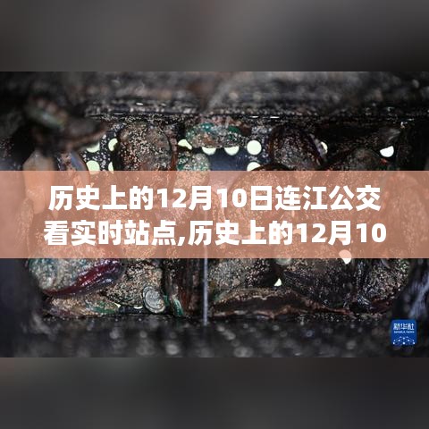 连江公交实时站点，历史上的励志故事与公交之旅的启示