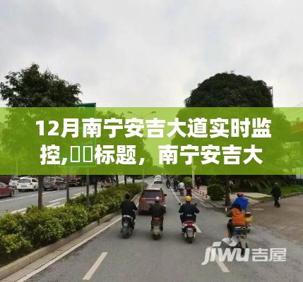 南宁安吉大道，冬日的喧嚣中的心灵静谧绿洲实时监控