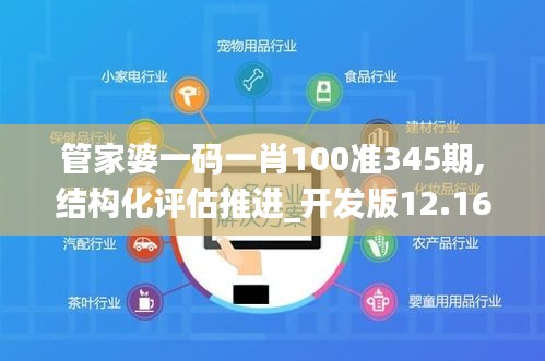 管家婆一码一肖100准345期,结构化评估推进_开发版12.164