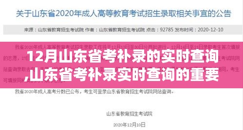 山东省考补录实时查询，重要性、影响分析及查询流程