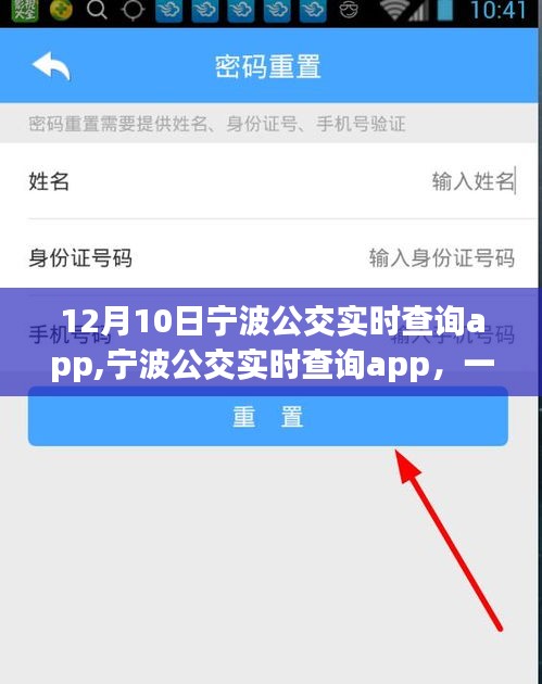 宁波公交实时查询app深度评测，一站式公交出行解决方案