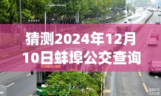 揭秘蚌埠公交，探秘未知路线与小巷深处的奥秘，预测蚌埠公交实时路线表（2024年12月10日）