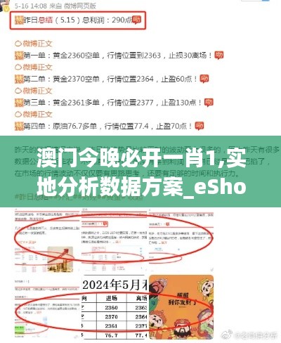 澳门今晚必开一肖1,实地分析数据方案_eShop10.555