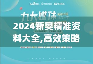 2024新奥精准资料大全,高效策略设计解析_挑战版10.623