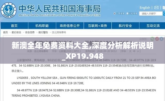 新澳全年免费资料大全,深度分析解析说明_XP19.948