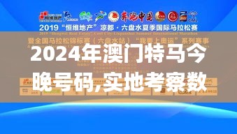 2024年澳门特马今晚号码,实地考察数据解析_移动版1.616