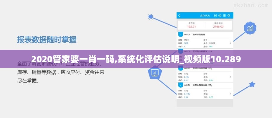 2020管家婆一肖一码,系统化评估说明_视频版10.289