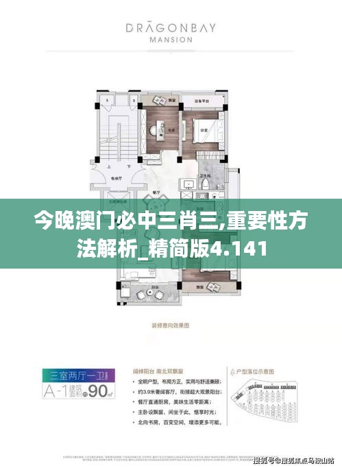 今晚澳门必中三肖三,重要性方法解析_精简版4.141