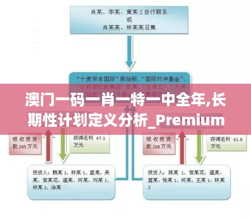 澳门一码一肖一特一中全年,长期性计划定义分析_Premium9.884