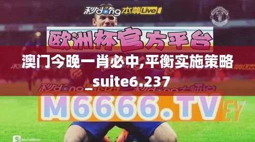 澳门今晚一肖必中,平衡实施策略_suite6.237