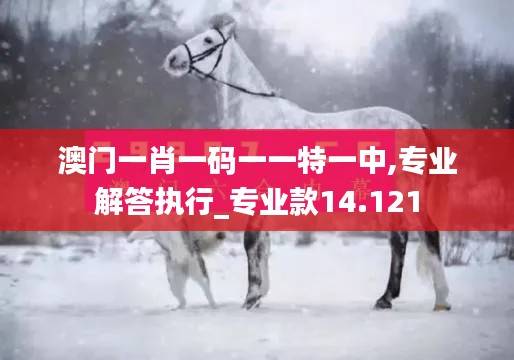 澳门一肖一码一一特一中,专业解答执行_专业款14.121