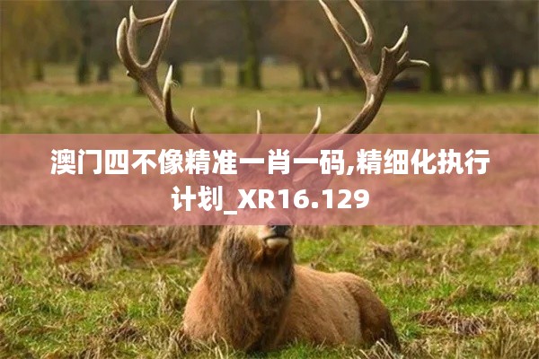 澳门四不像精准一肖一码,精细化执行计划_XR16.129